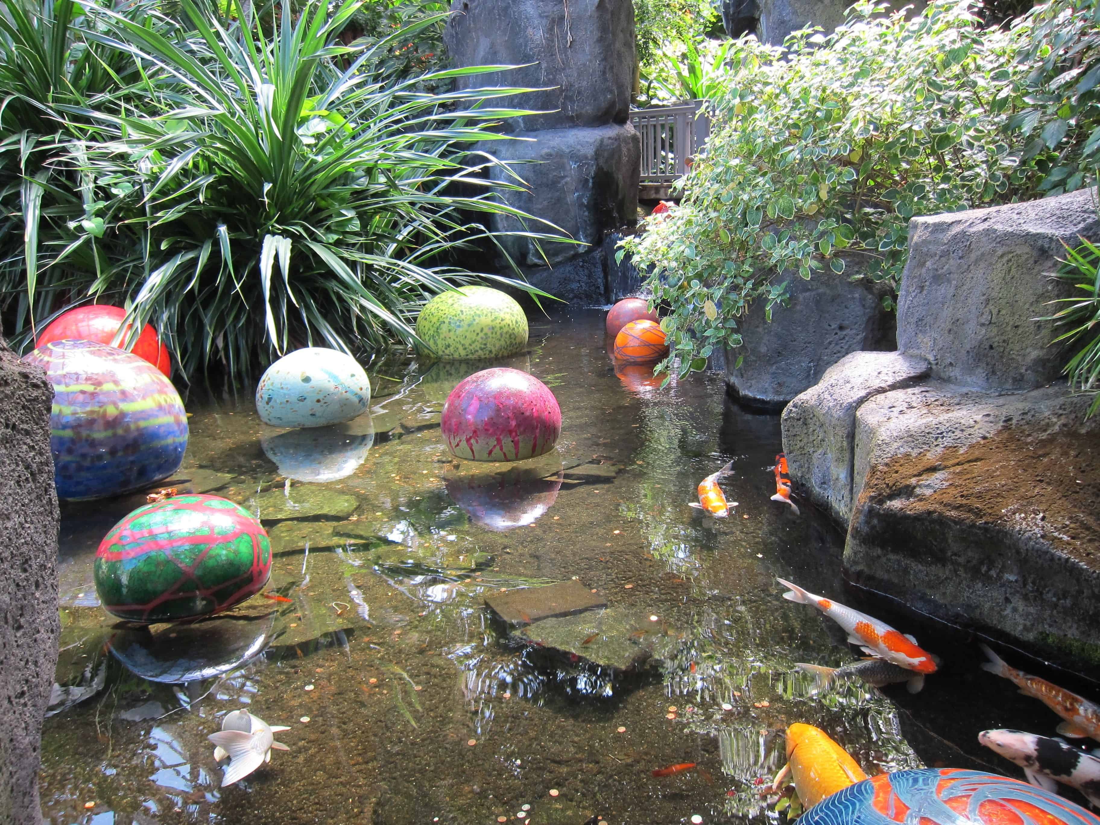 garden fish pond