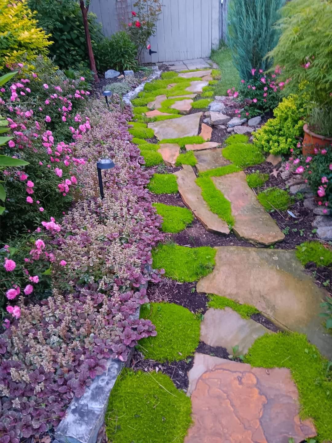 Simple Walkway Ideas On A Budget