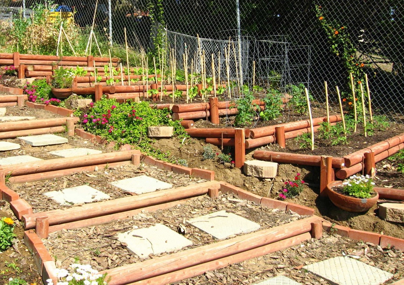 Sloped backyard ideas on a budget