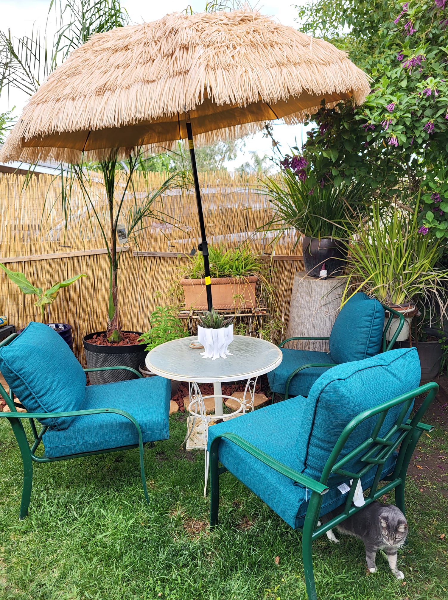 Inexpensive patio shade ideas