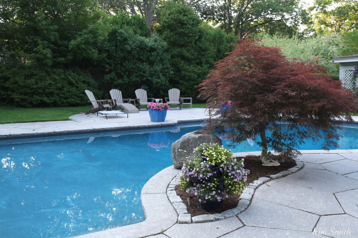 best plants for swimming pool landscaping