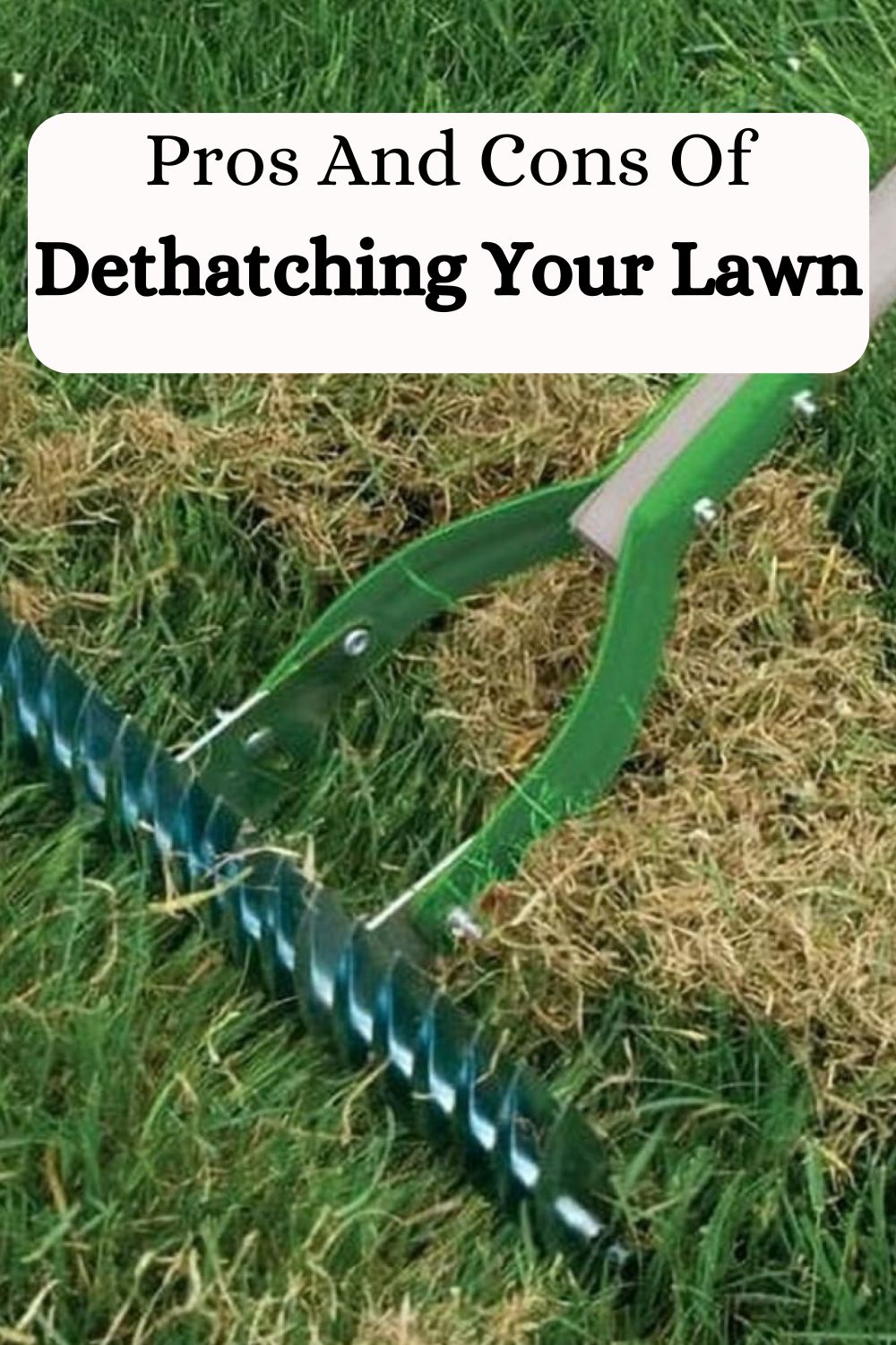 Pros And Cons Of Dethatching Your Lawn