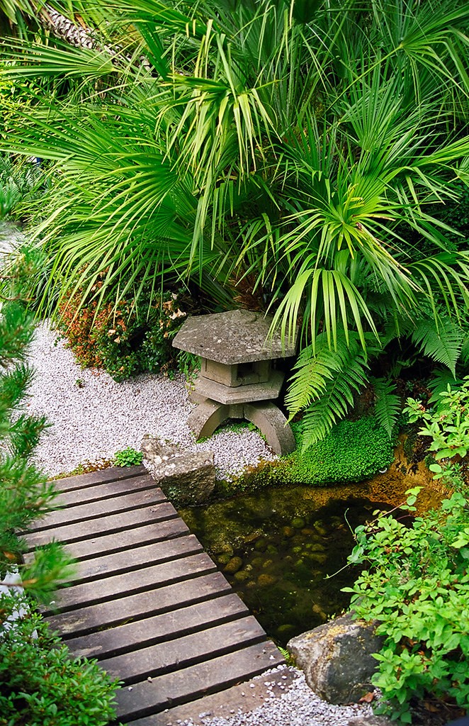 corner garden plant ideas