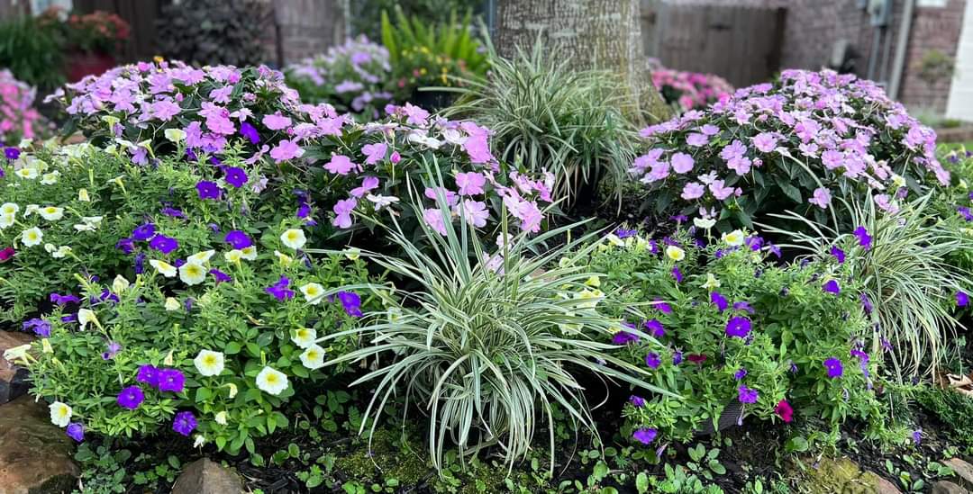corner landscaping ideas front yard