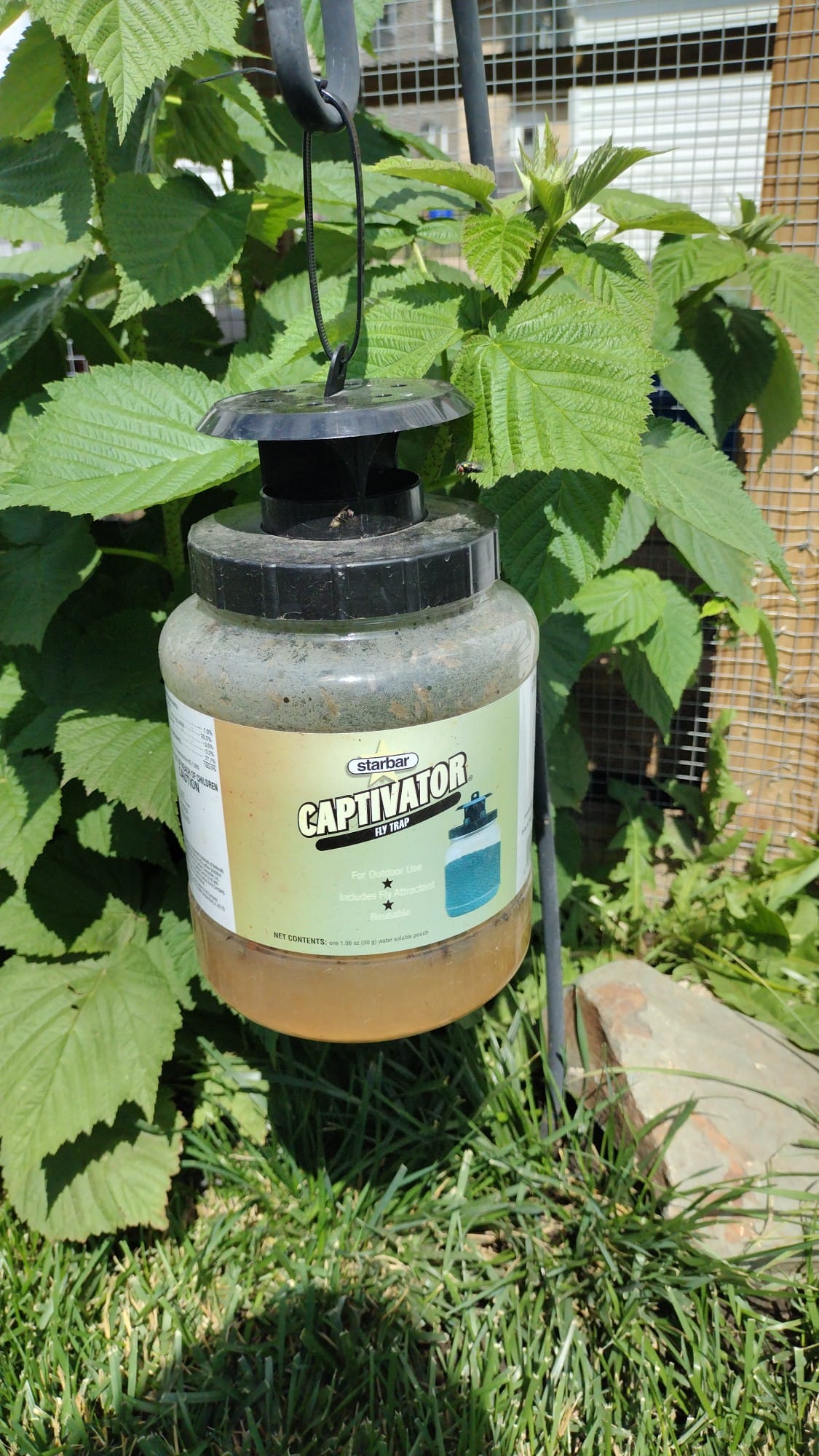 Captivator Fly Trap