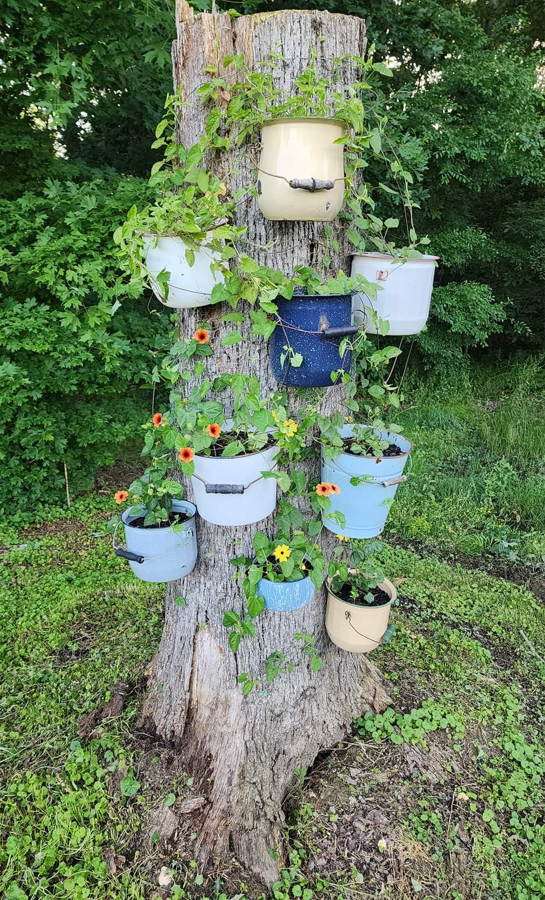 tall tree stump decorating ideas