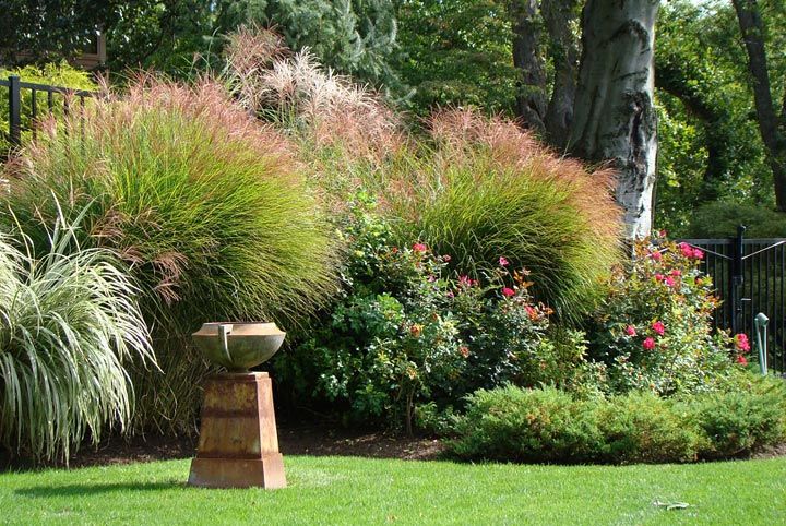 Beautiful Corner Garden Ideas
