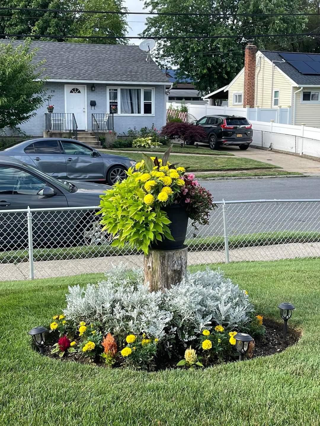 short tree stump ideas
