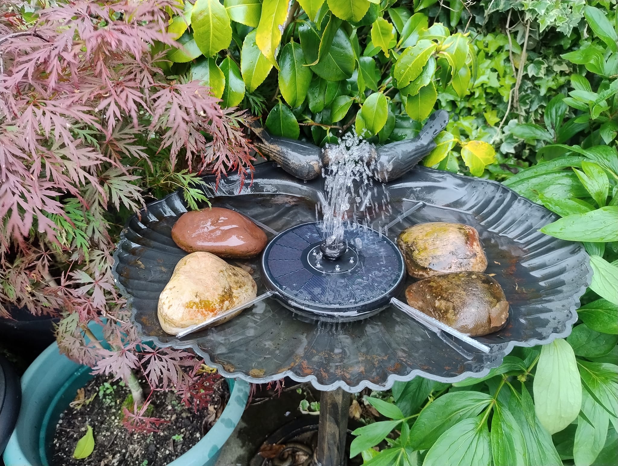 small corner landscaping ideas