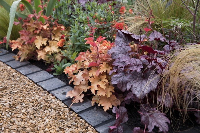 low-maintenance driveway border plants