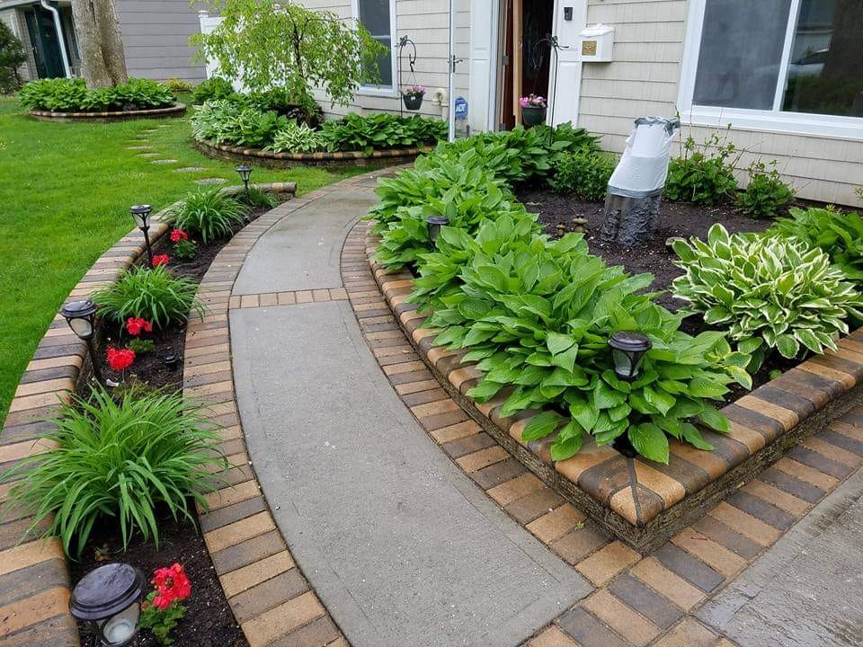 Perennial Plants To Use For Borders