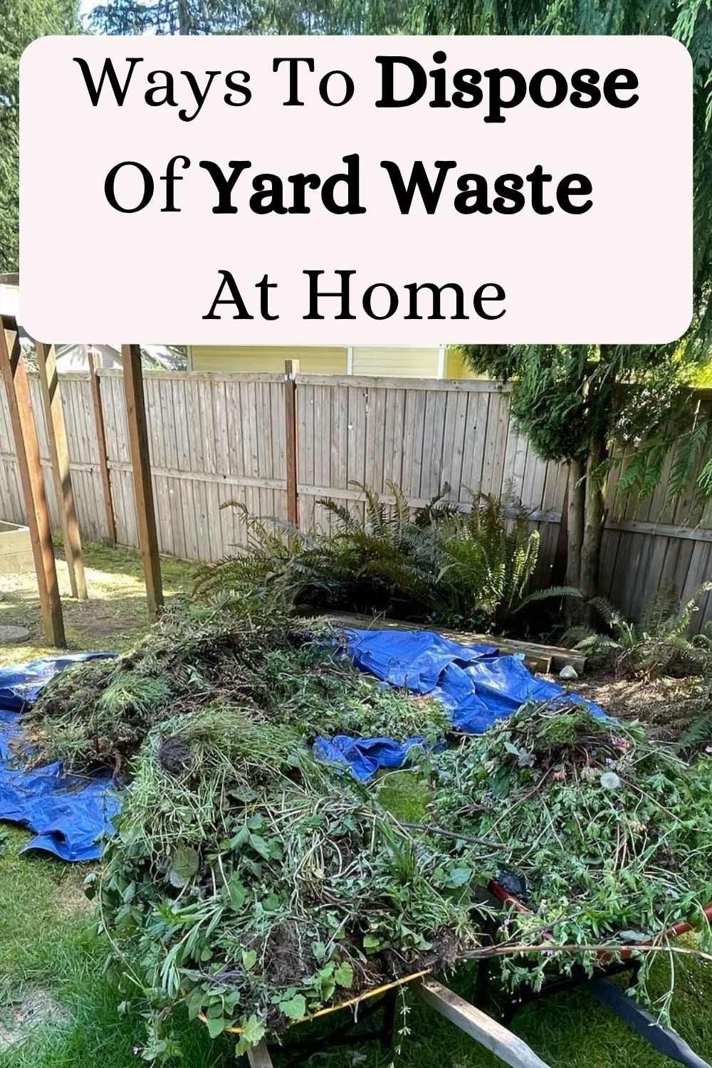 Ways To Dispose Of Yard Waste At Home