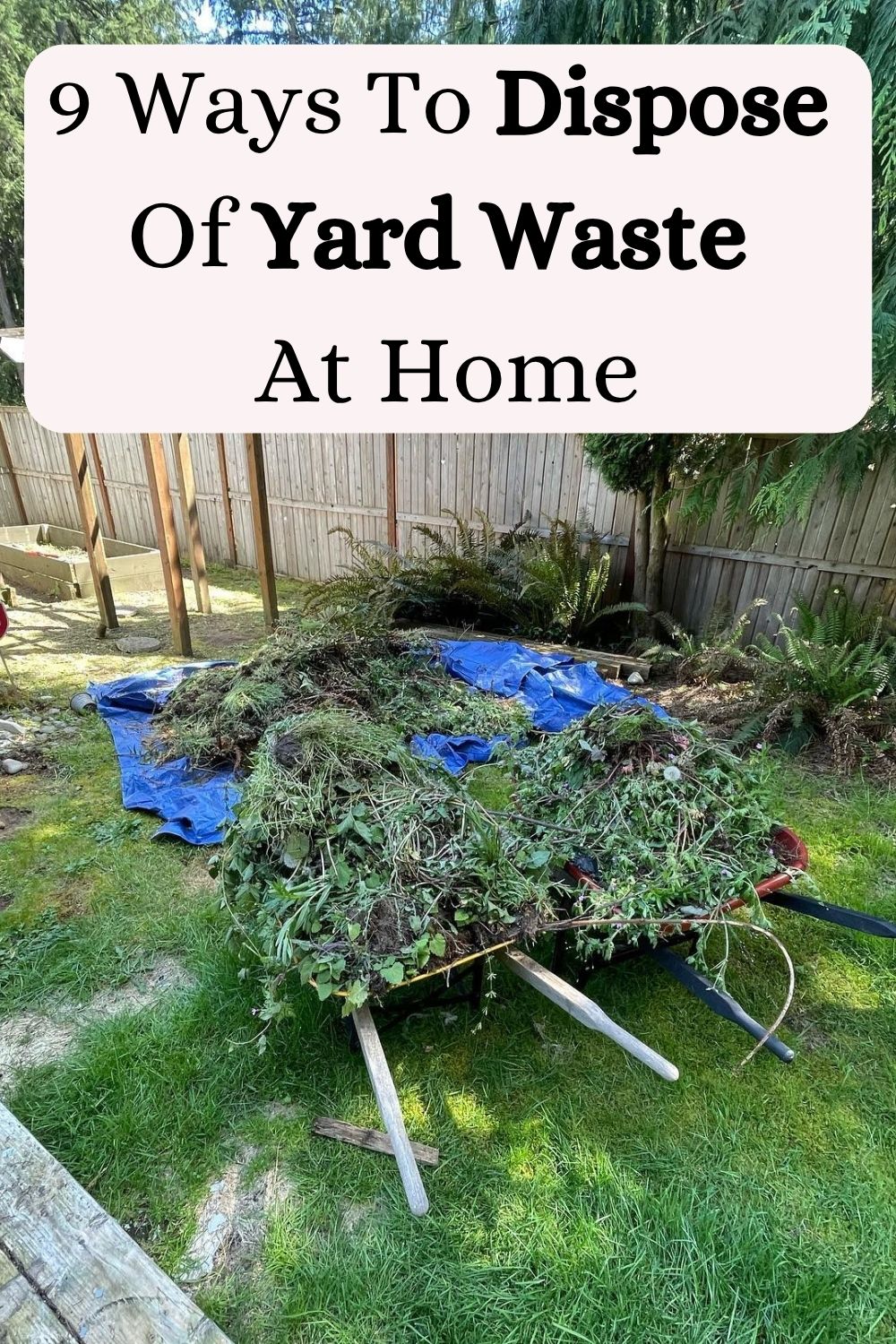 Ways To Dispose Of Yard Waste At Home