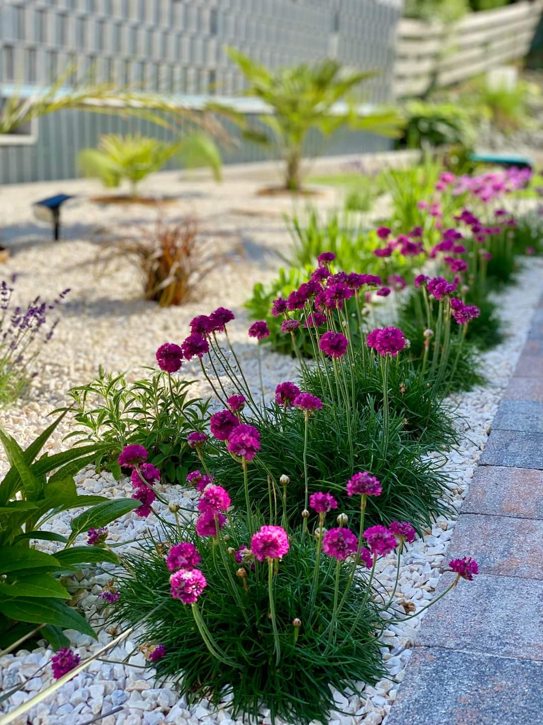 Xeriscaping Ideas On A Budget