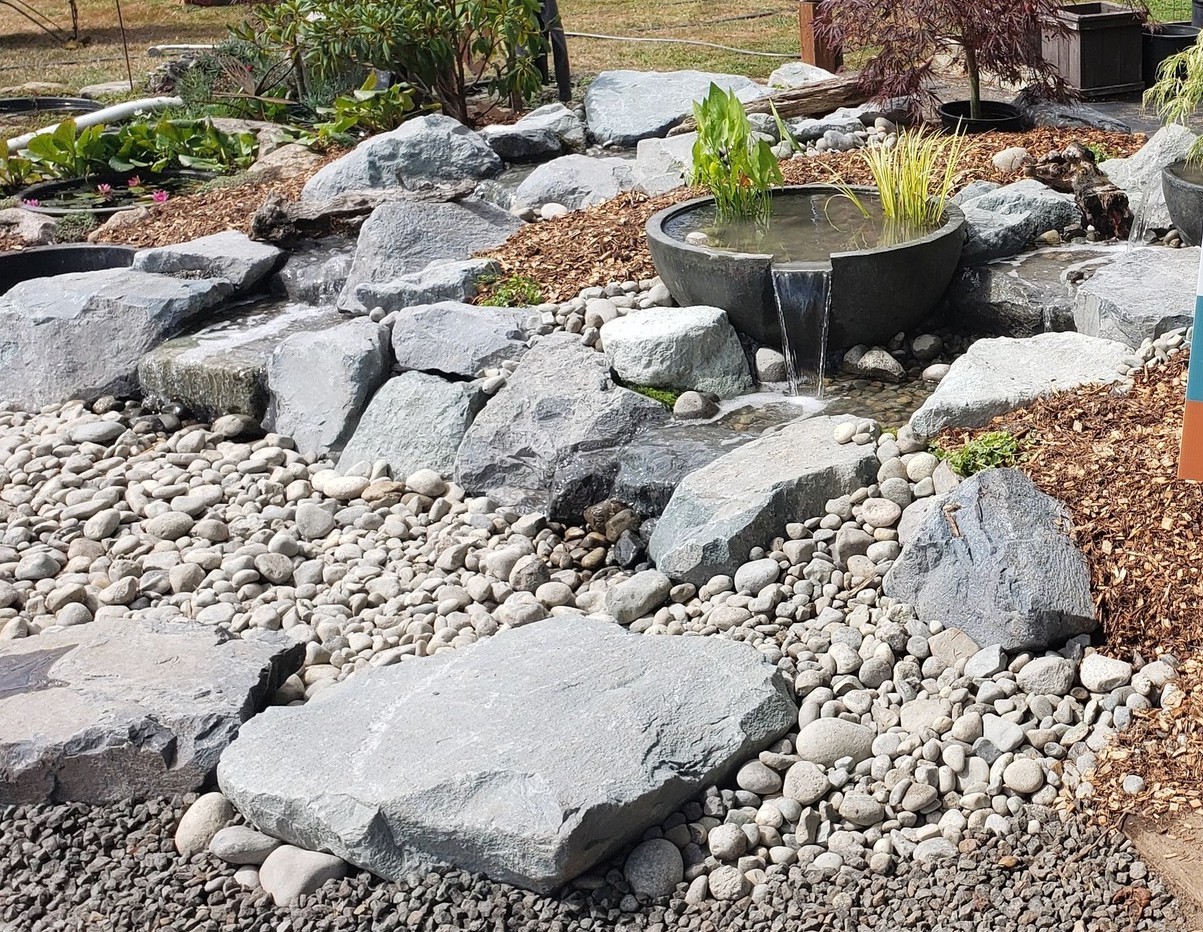Low maintenance xeriscape front yard
