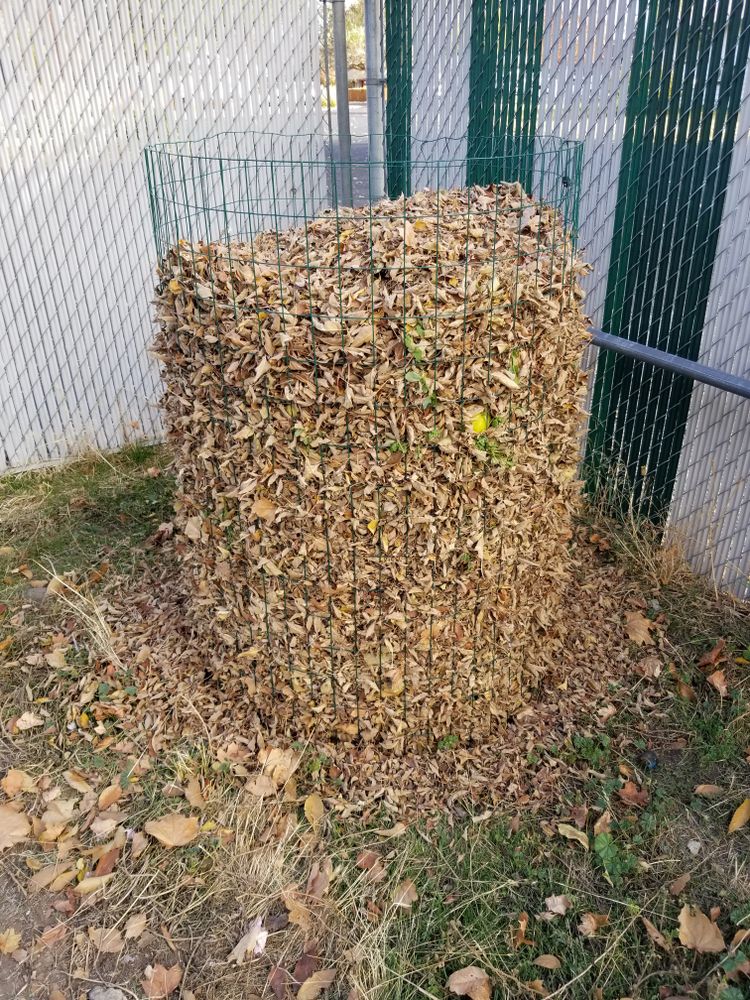 Repurposing Fall Leaves