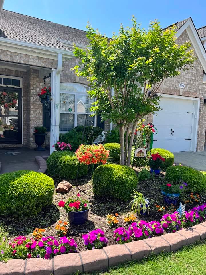 Evergreen Plants For Front Yard