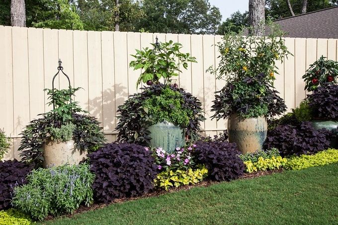 inexpensive garden edging ideas