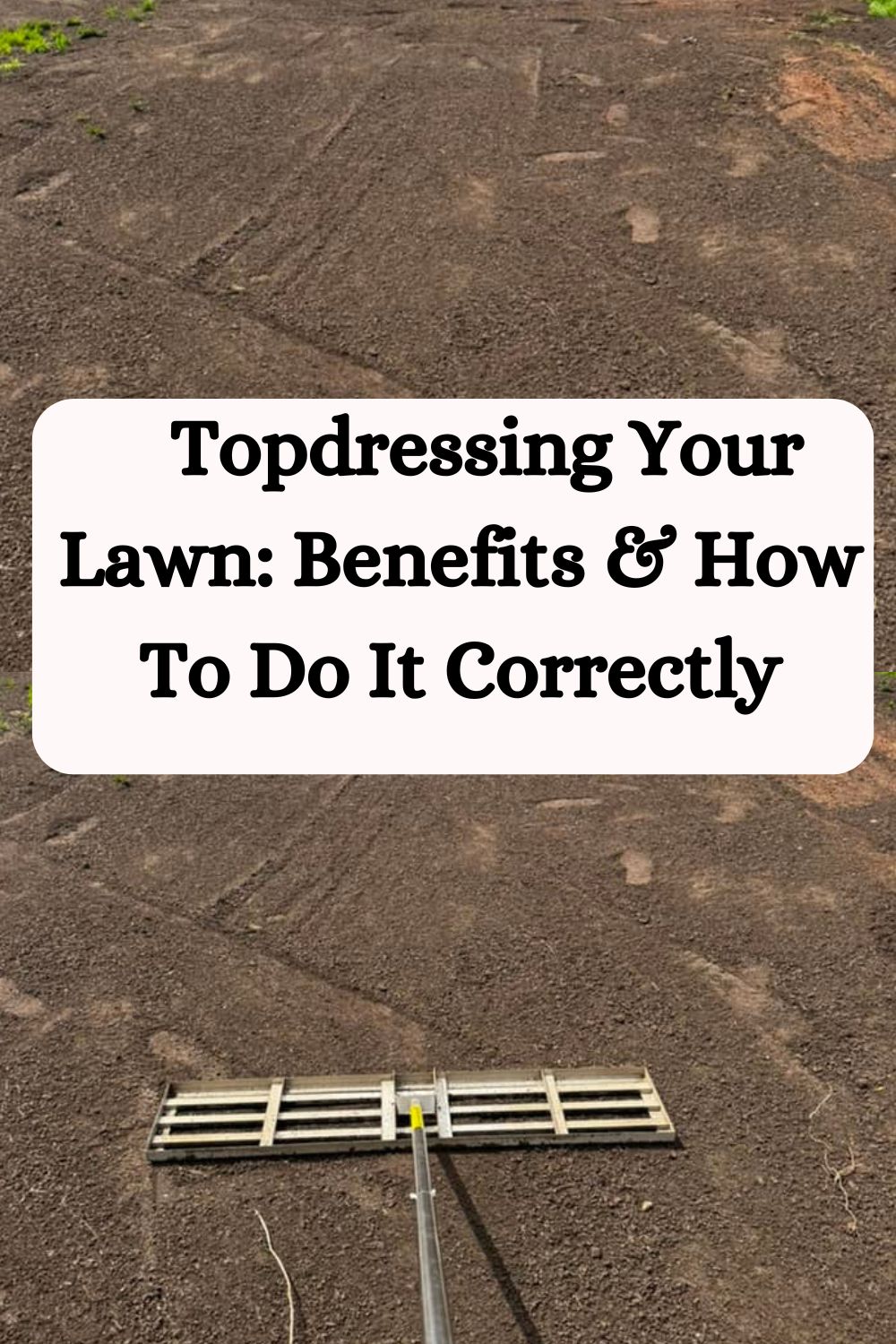 Topdressing Your Lawn: Benefits And How To Do It Correctly