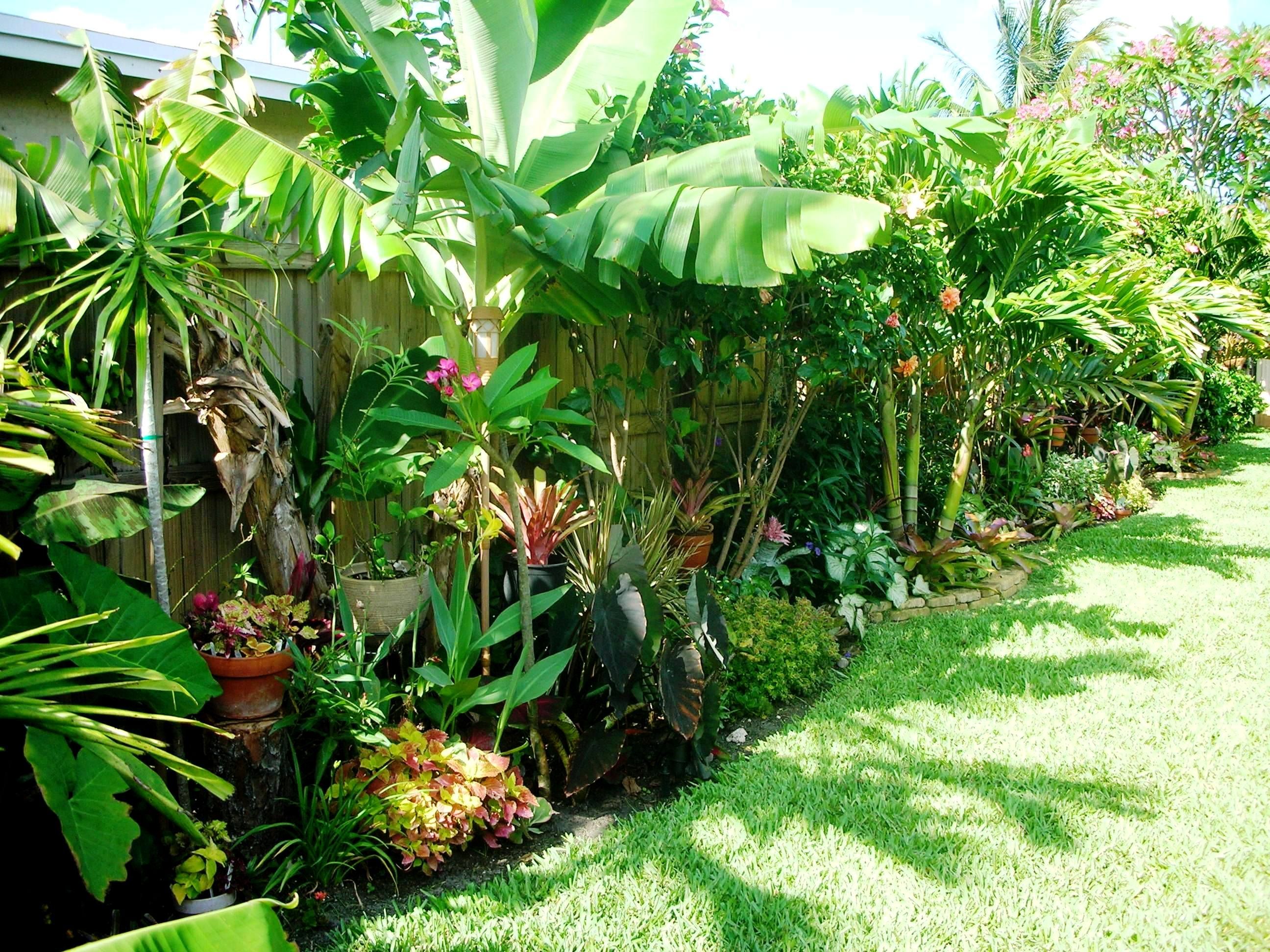 Low maintenance fence edging ideas