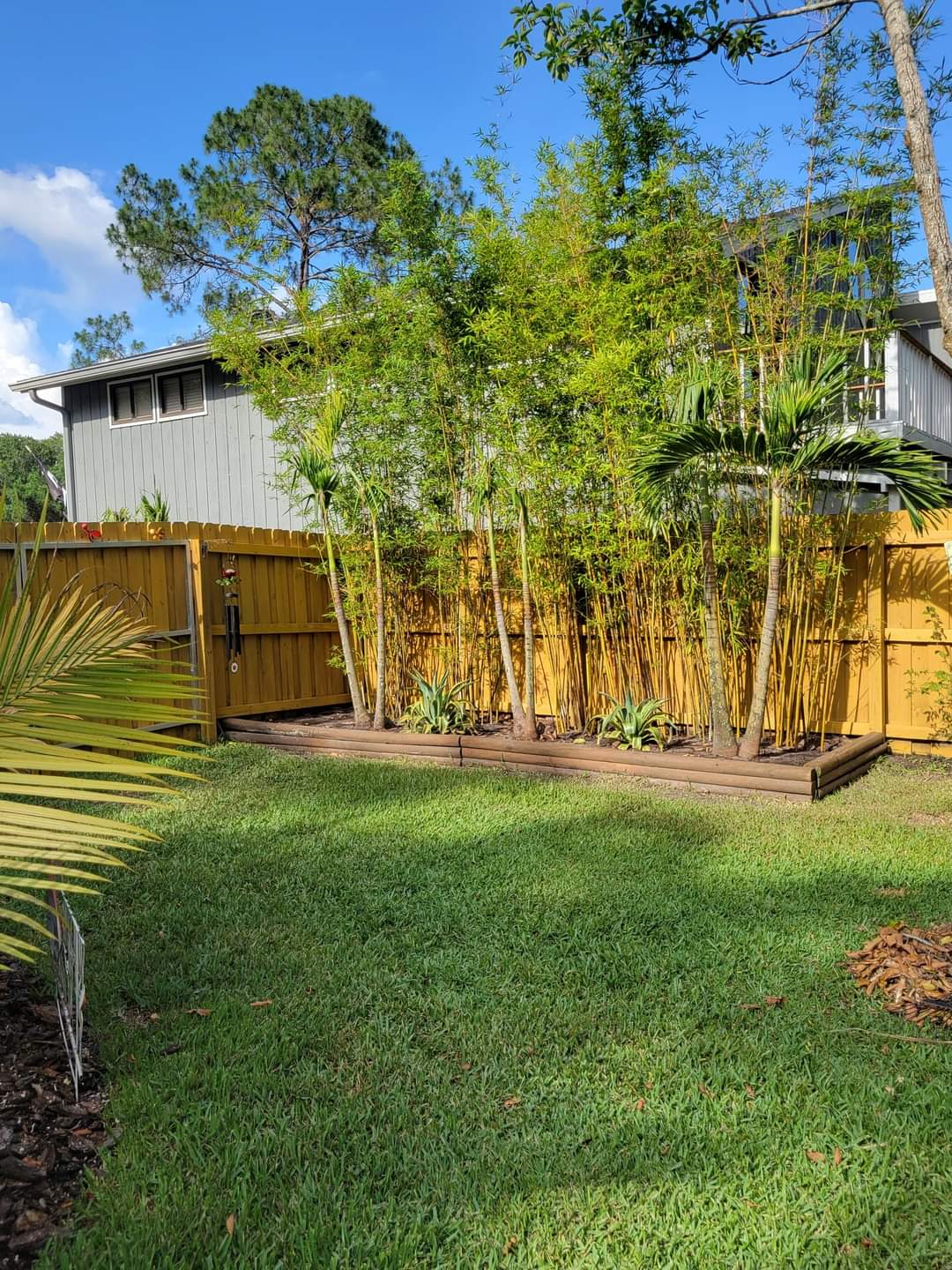 Edge Your Fence With Bamboo