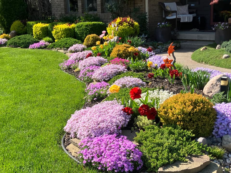 Low maintenance under fence edging ideas