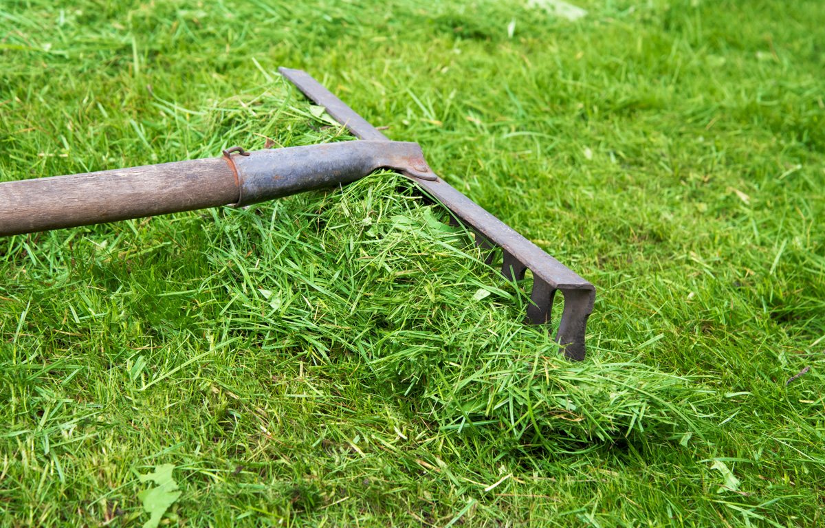 Things You Should Never Do To Your Lawn