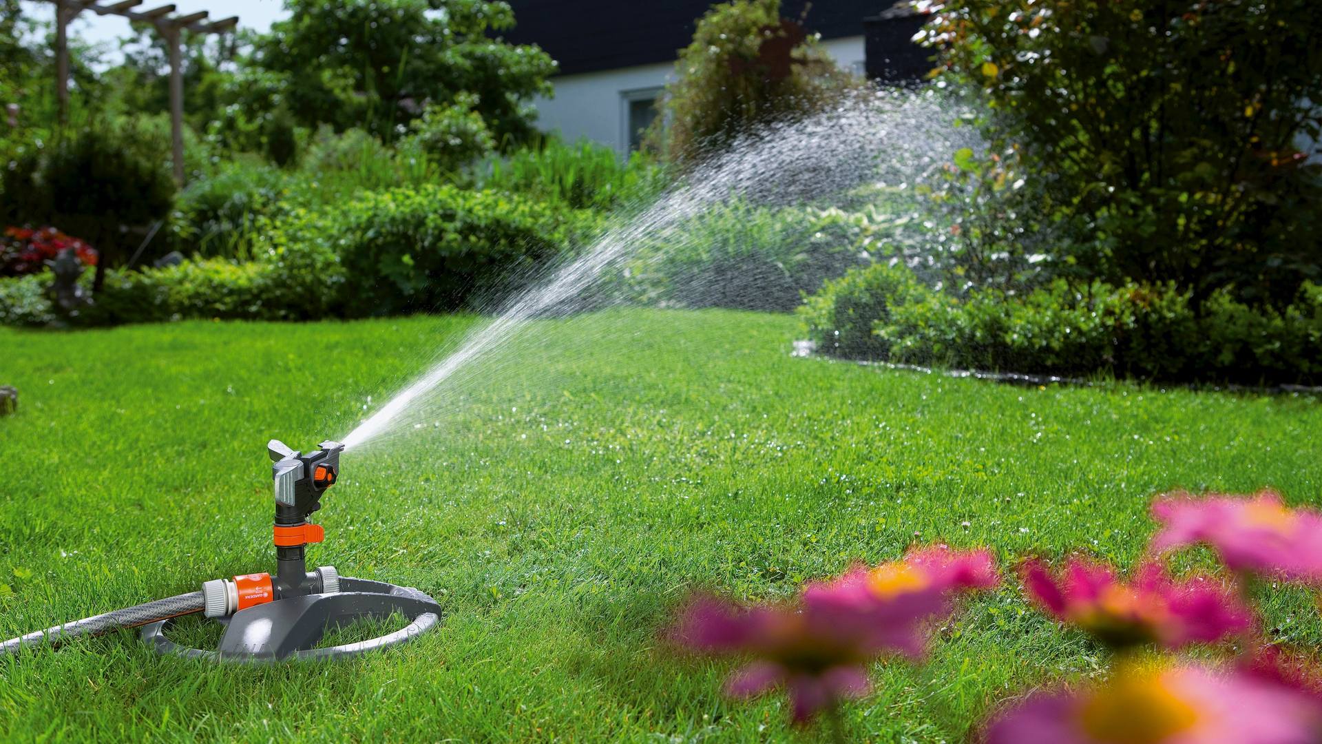 Things You Should Never Do To Your Lawn