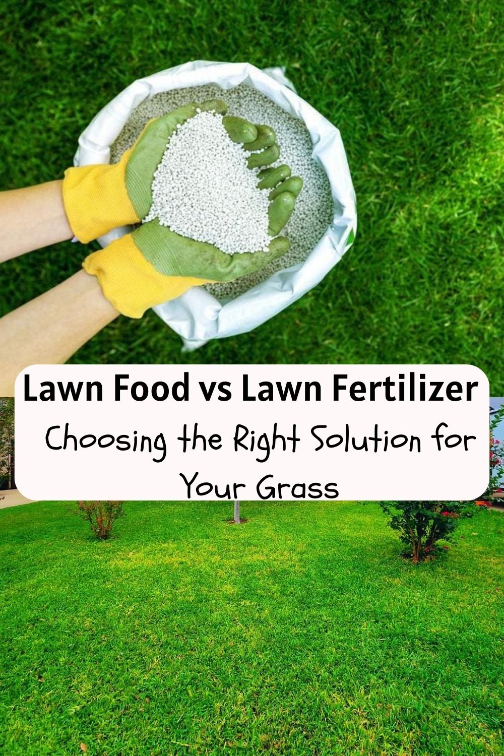 Lawn Food vs Lawn Fertilizer: Choosing the Right Solution for Your Grass