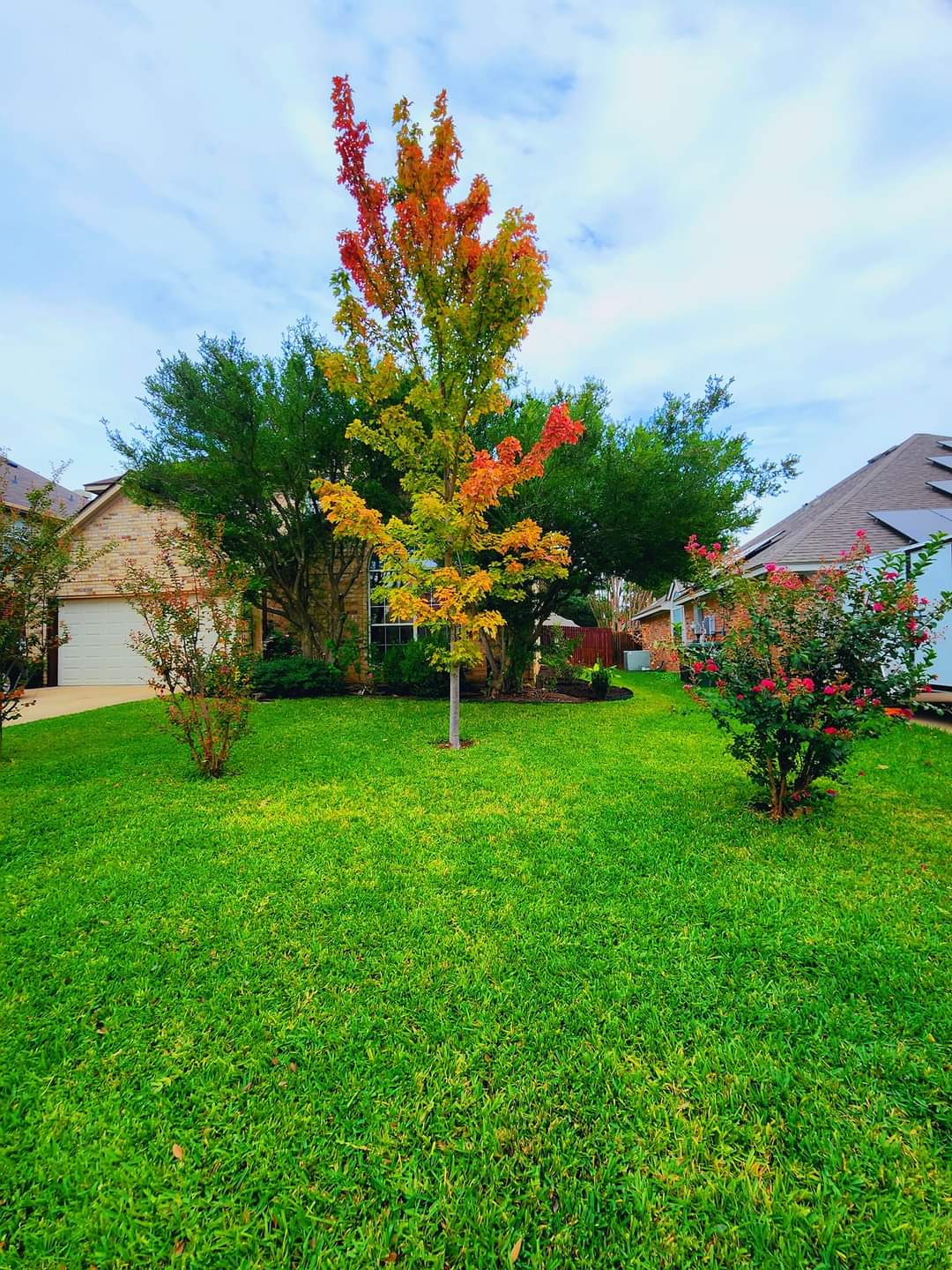 Lawn Food vs Lawn Fertilizer