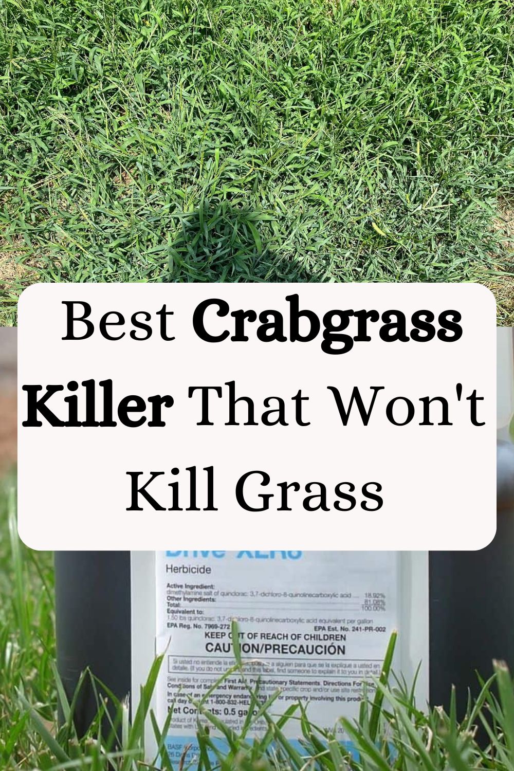 Best Crabgrass Killer That Won't Kill Grass