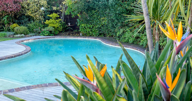 Low-Maintenance Plants For Around The Pool