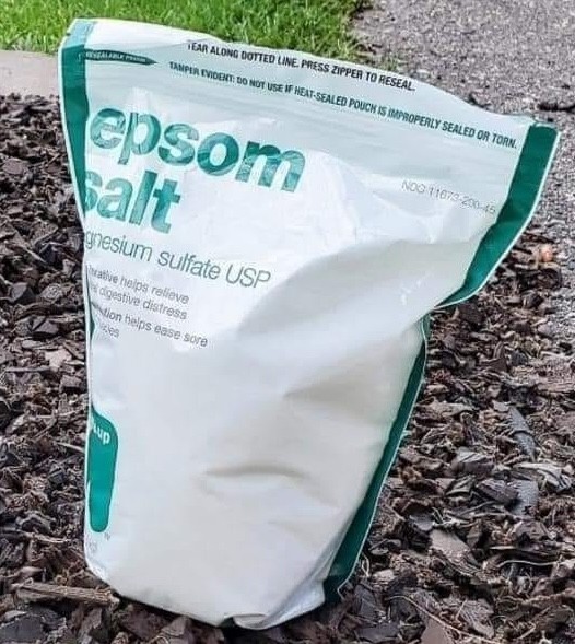 Natural grass fertilizer homemade