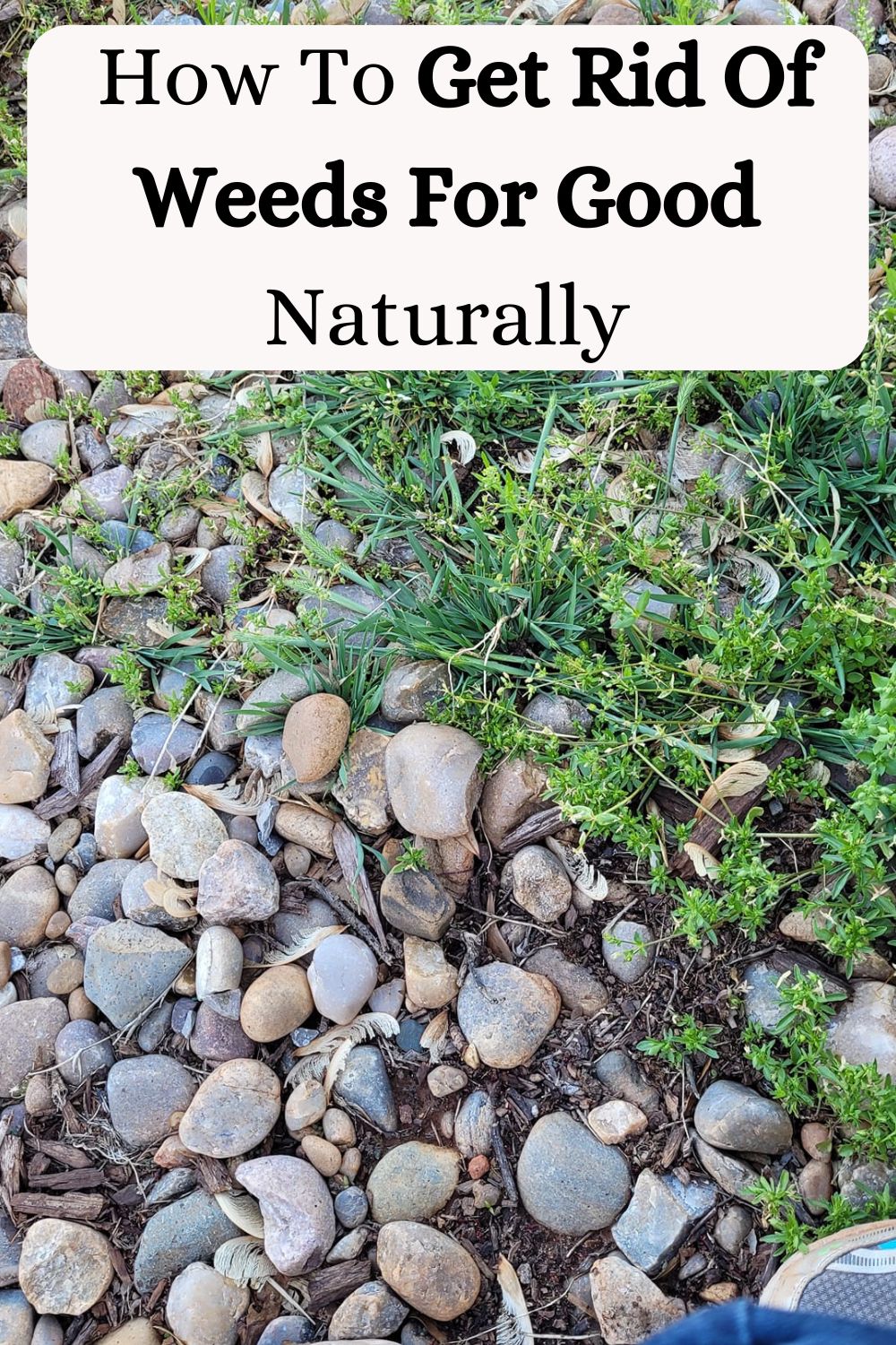 How To Get Rid Of Weeds For Good