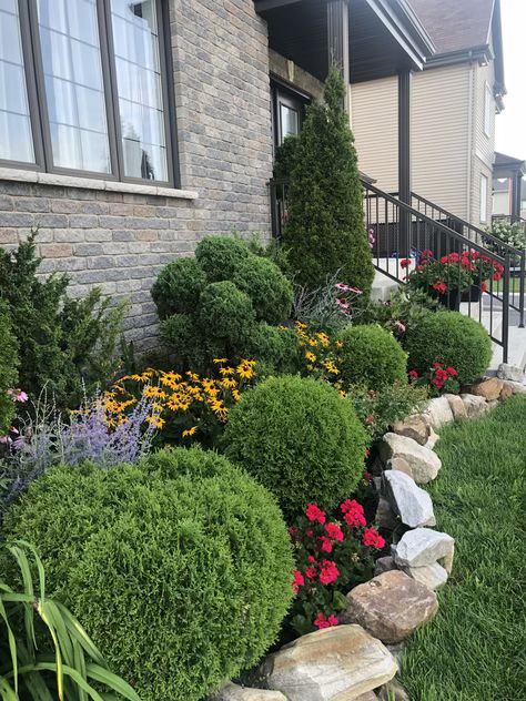 Foundation plantings ideas