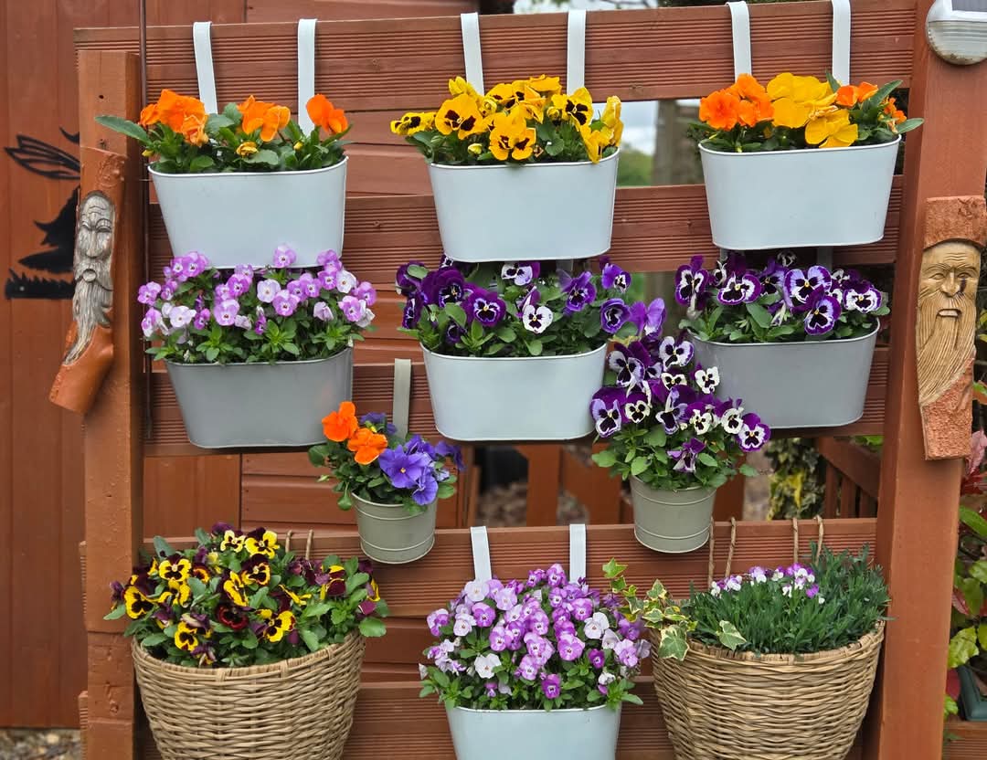 Backyard Landscaping Ideas on budget 