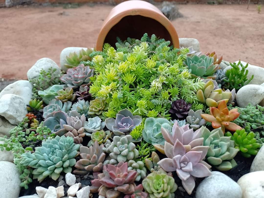 White Stone Landscaping Ideas