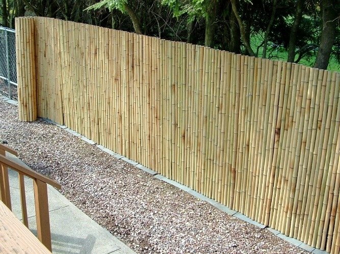 cheap fencing ideas for farm