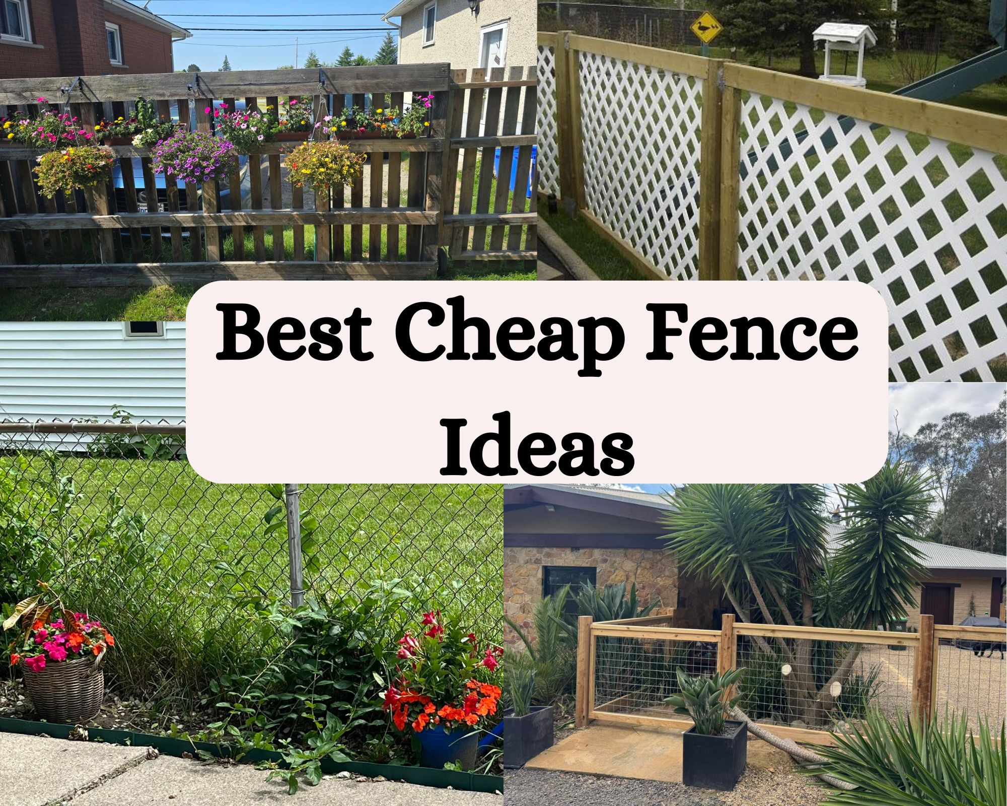 Best Cheap Fence Ideas