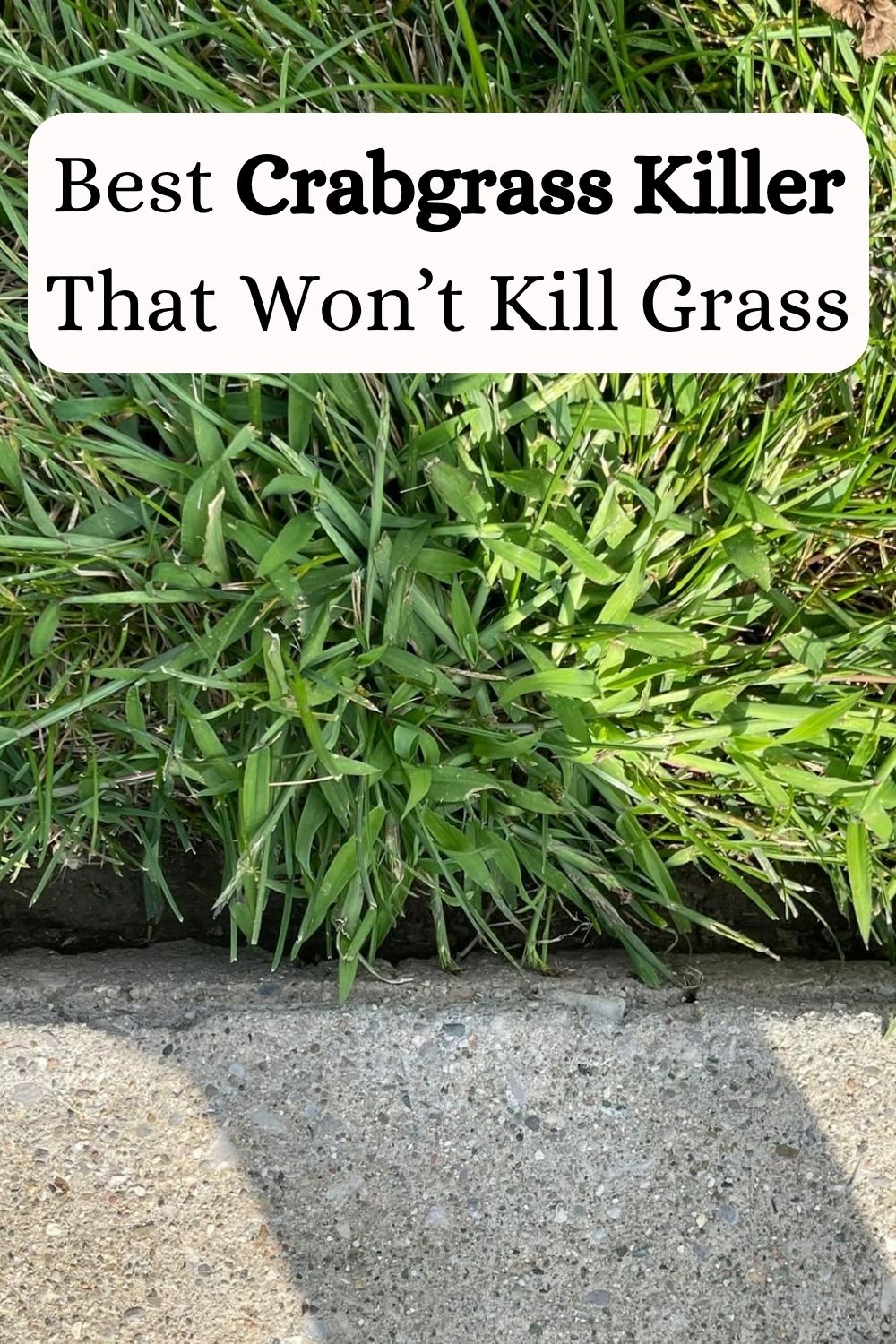 Best Crabgrass Killer That Won’t Kill Grass