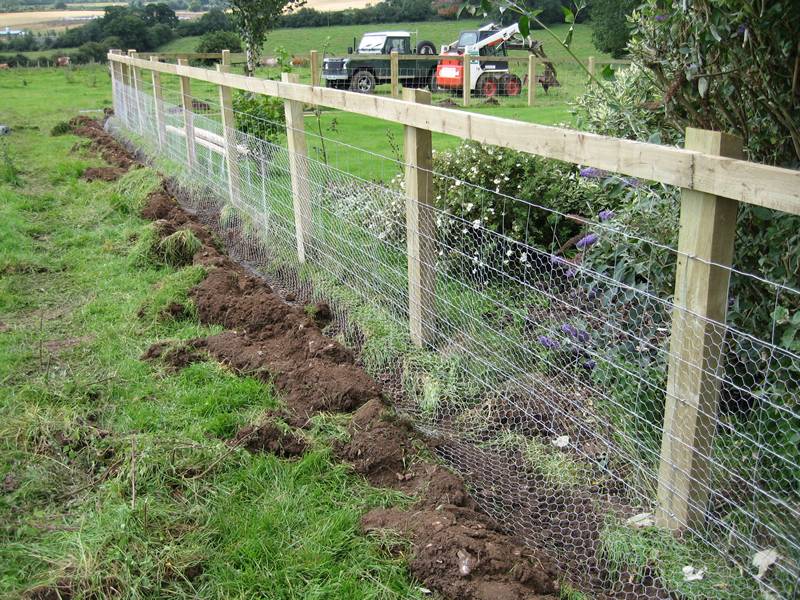 cheap fence ideas