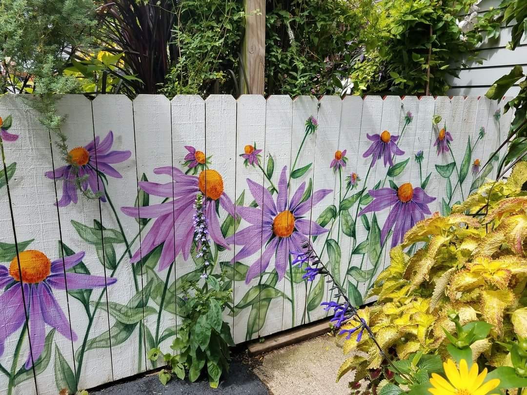 Inexpensive Privacy Fence Ideas 