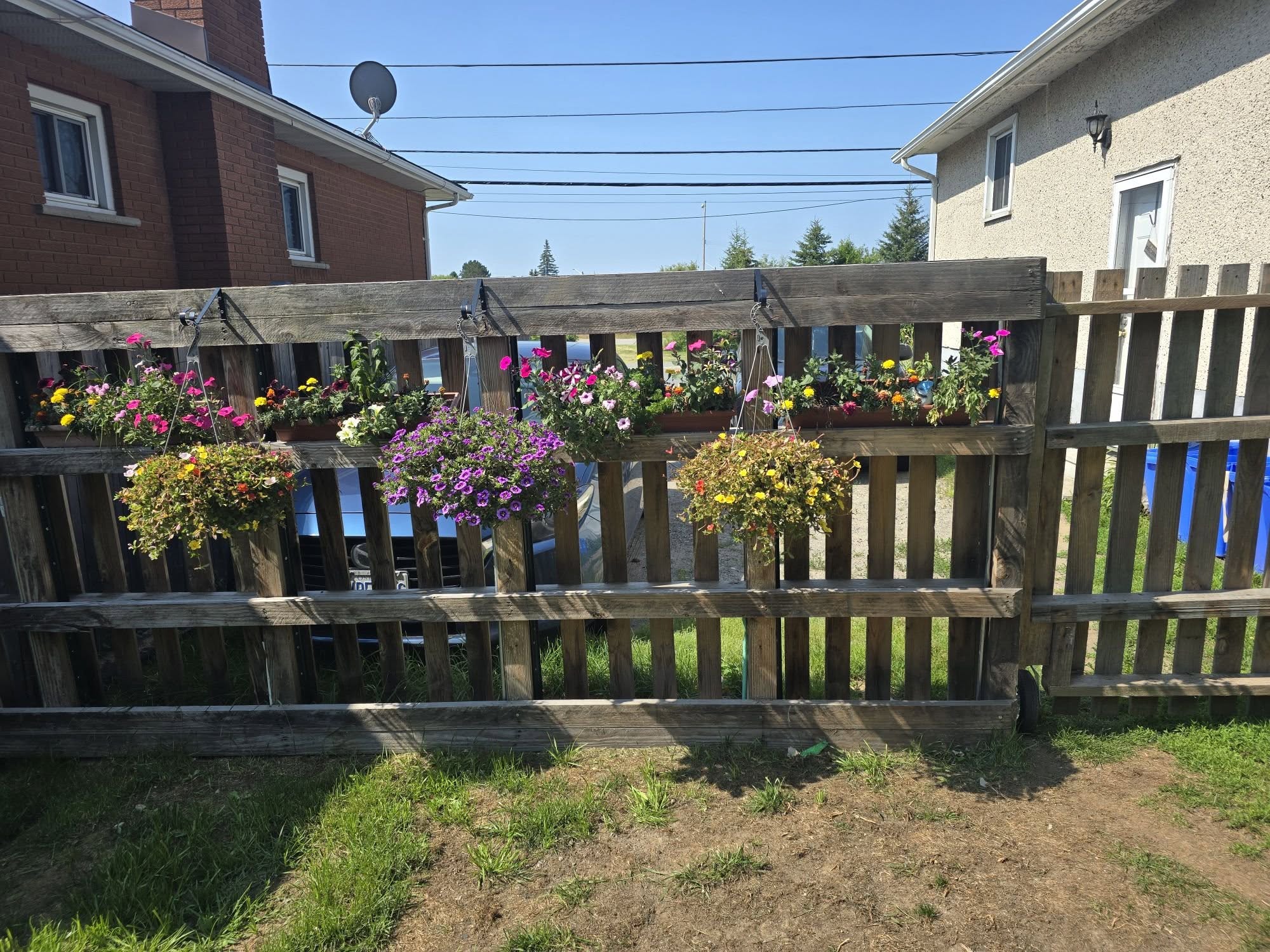 cheap fence ideas for backyard