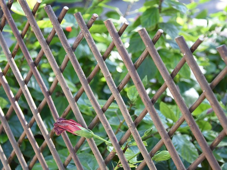 Easy cheap fence ideas