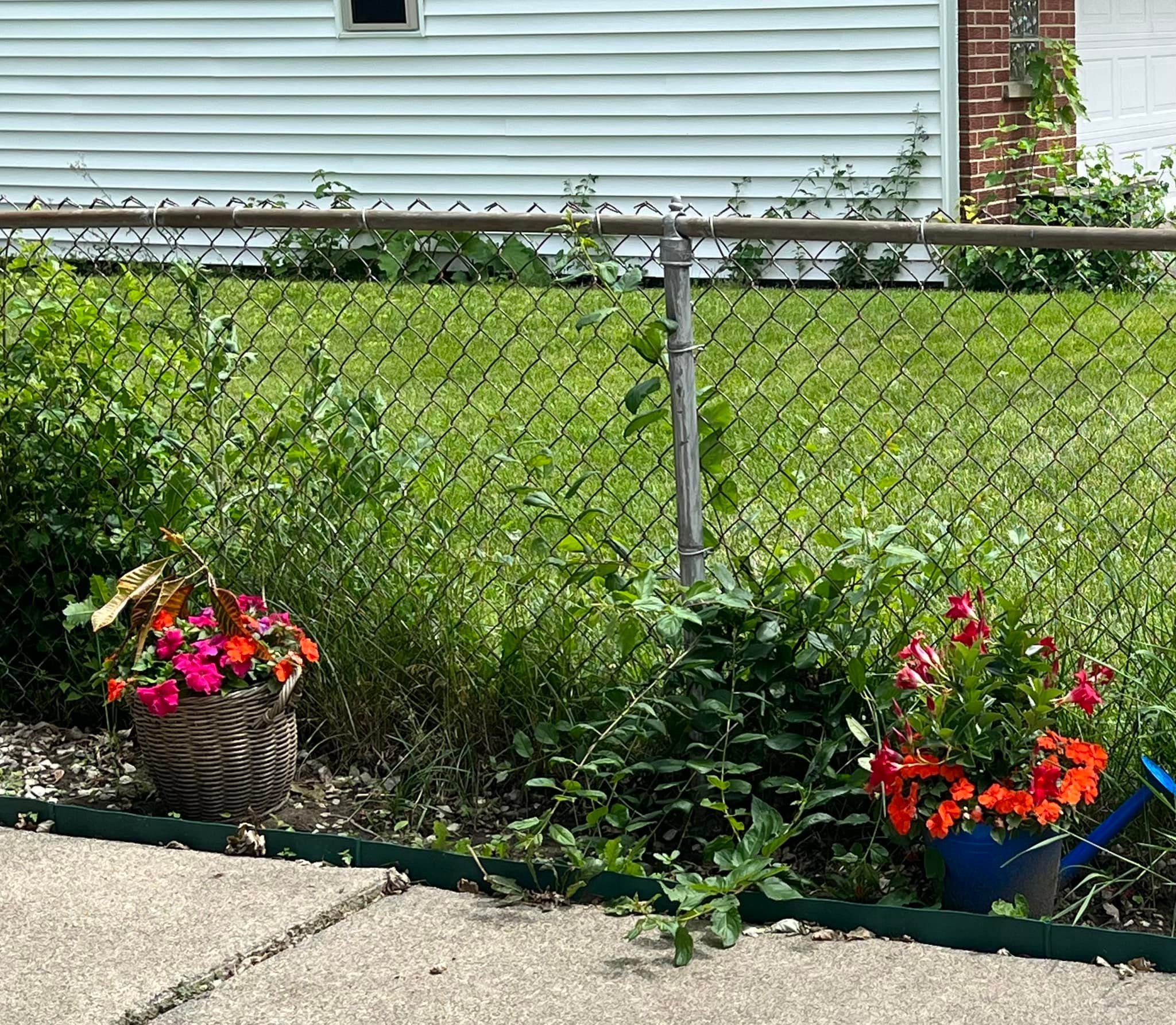 Cheap fence ideas on a budget