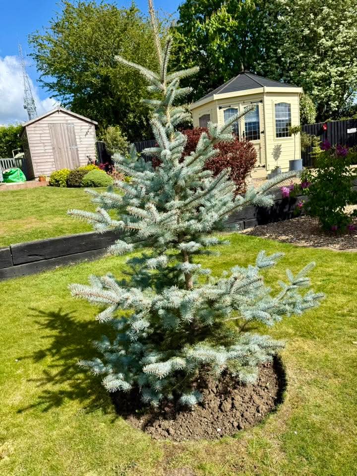 Landscaping Plants That Look Good All Year Round