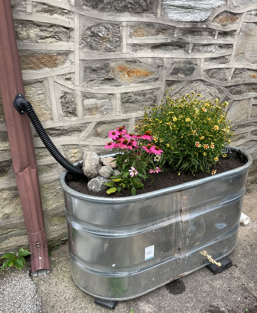 Gutter downspout drainage ideas
