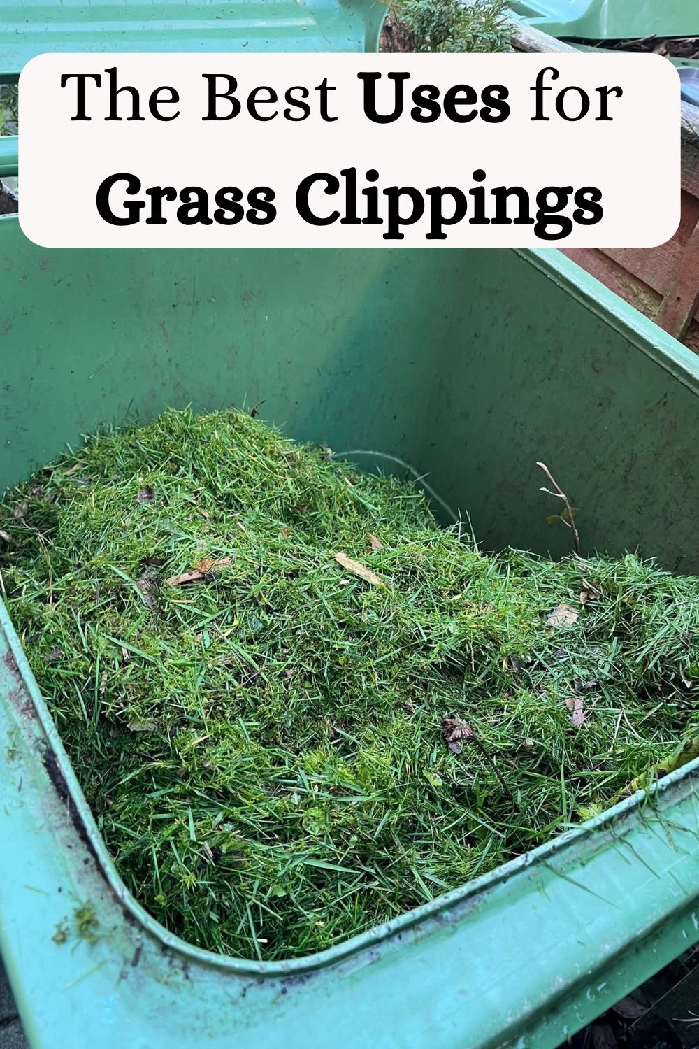 What to do with grass cuttings