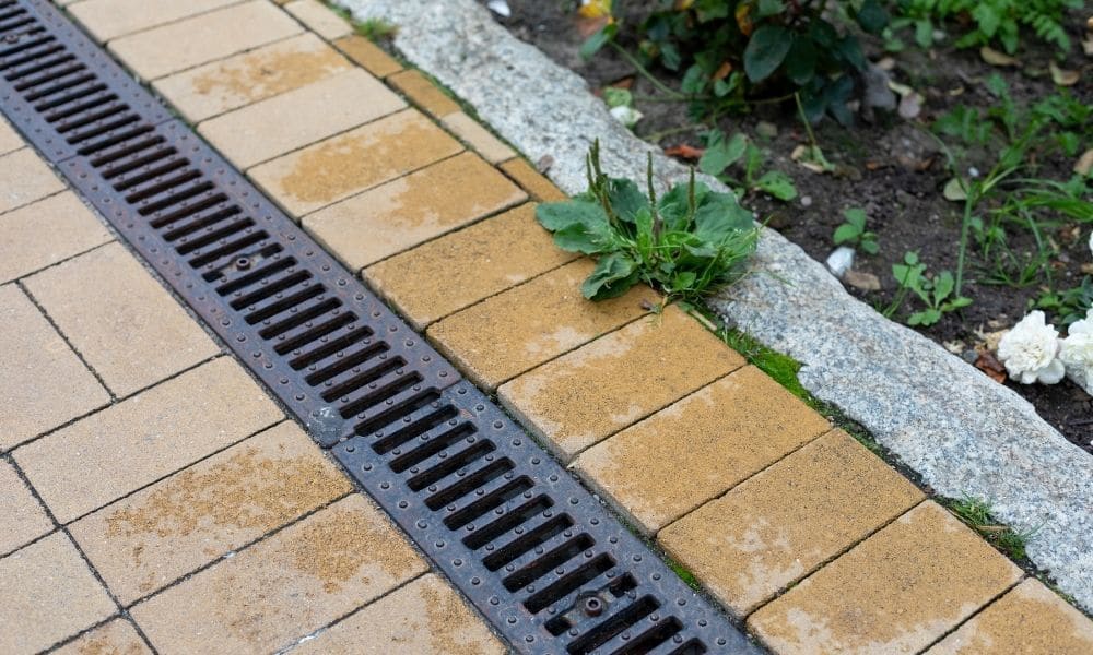 Gutter drainage ideas