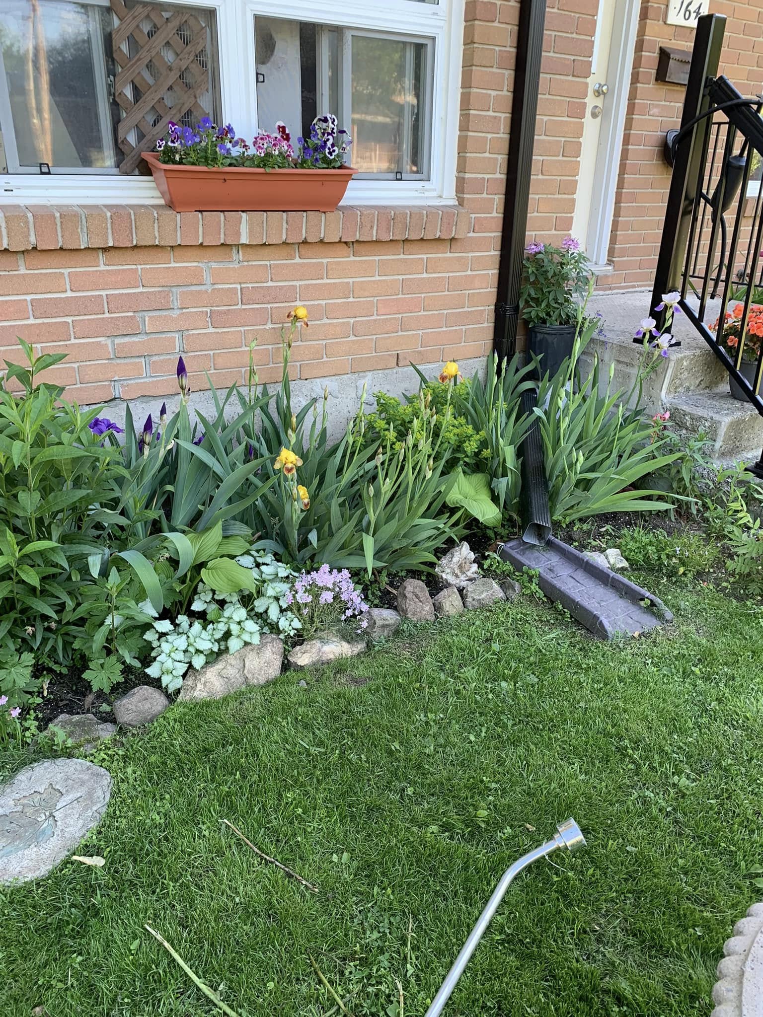 Downspout Drainage Ideas